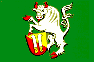 Flag of Nové Dvory, Vysočina Region