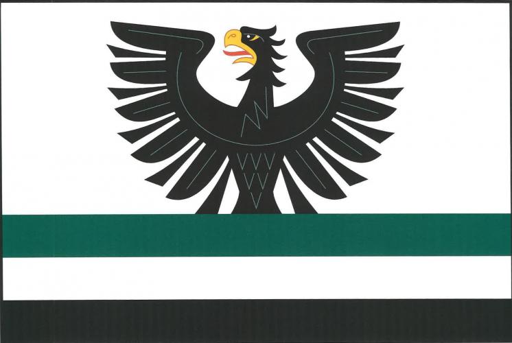 Flag of Ostašov, Vysočina Region