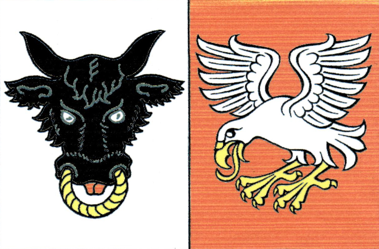 Flag of Pernštejnské Jestřabí, South Moravian Region