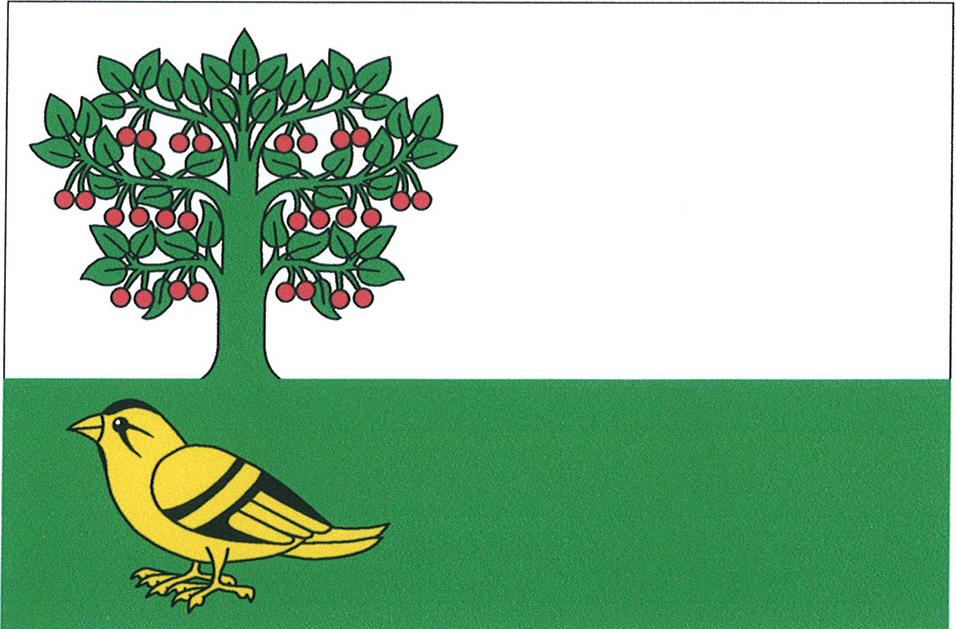 Flag of Petkovy, Central Bohemian Region