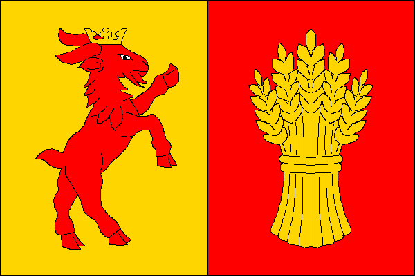 Flag of Petřkovice, Moravian-Silesian Region