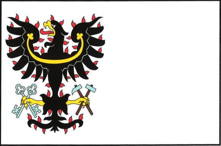 Vlajka obce Petrovice I, kraj Středočeský kraj