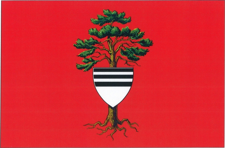 Flag of Petrovičky, Hradec Králové Region
