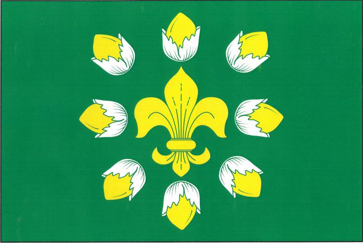 Flag of Písek, Plzeň Region