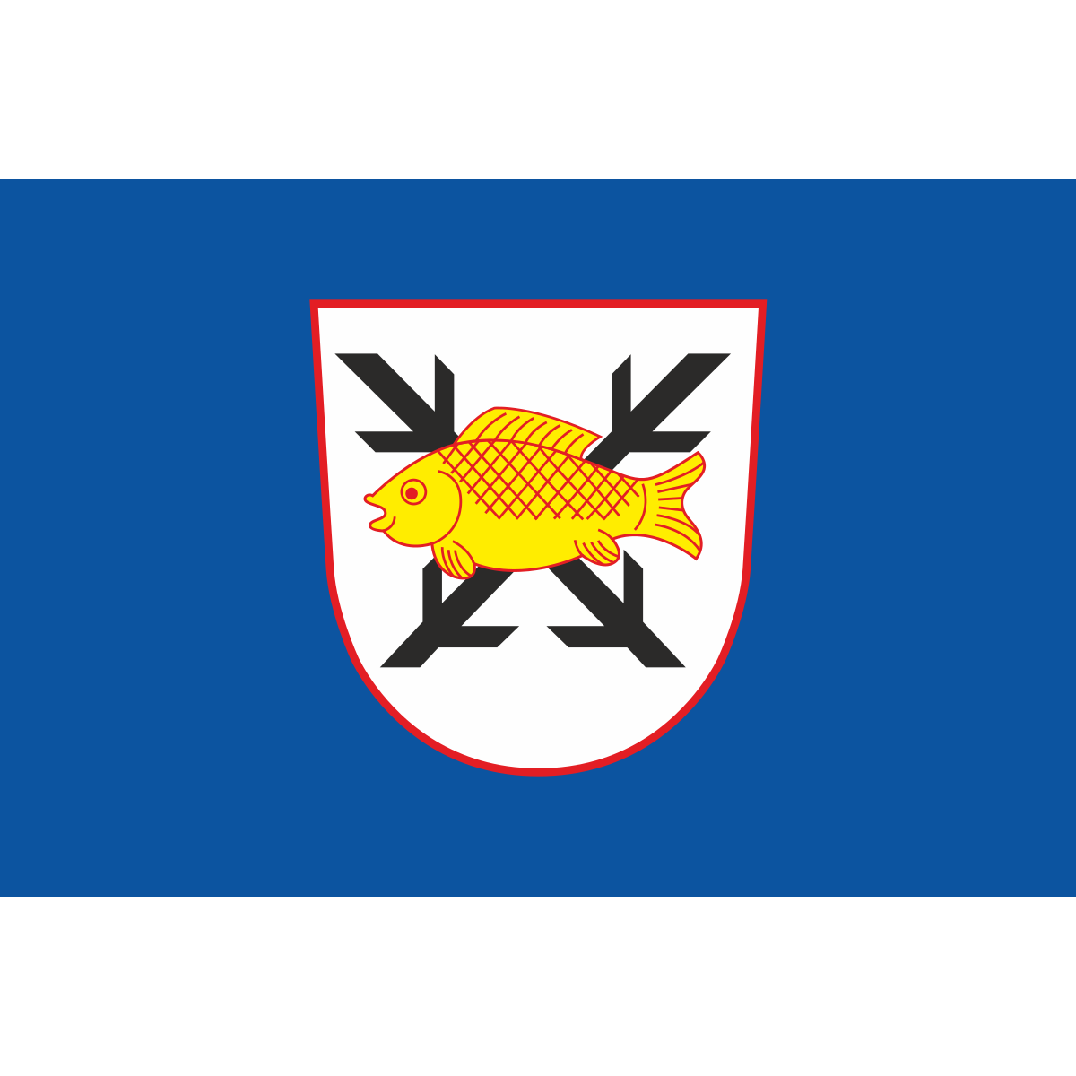 Flag of Polná, Vysočina Region