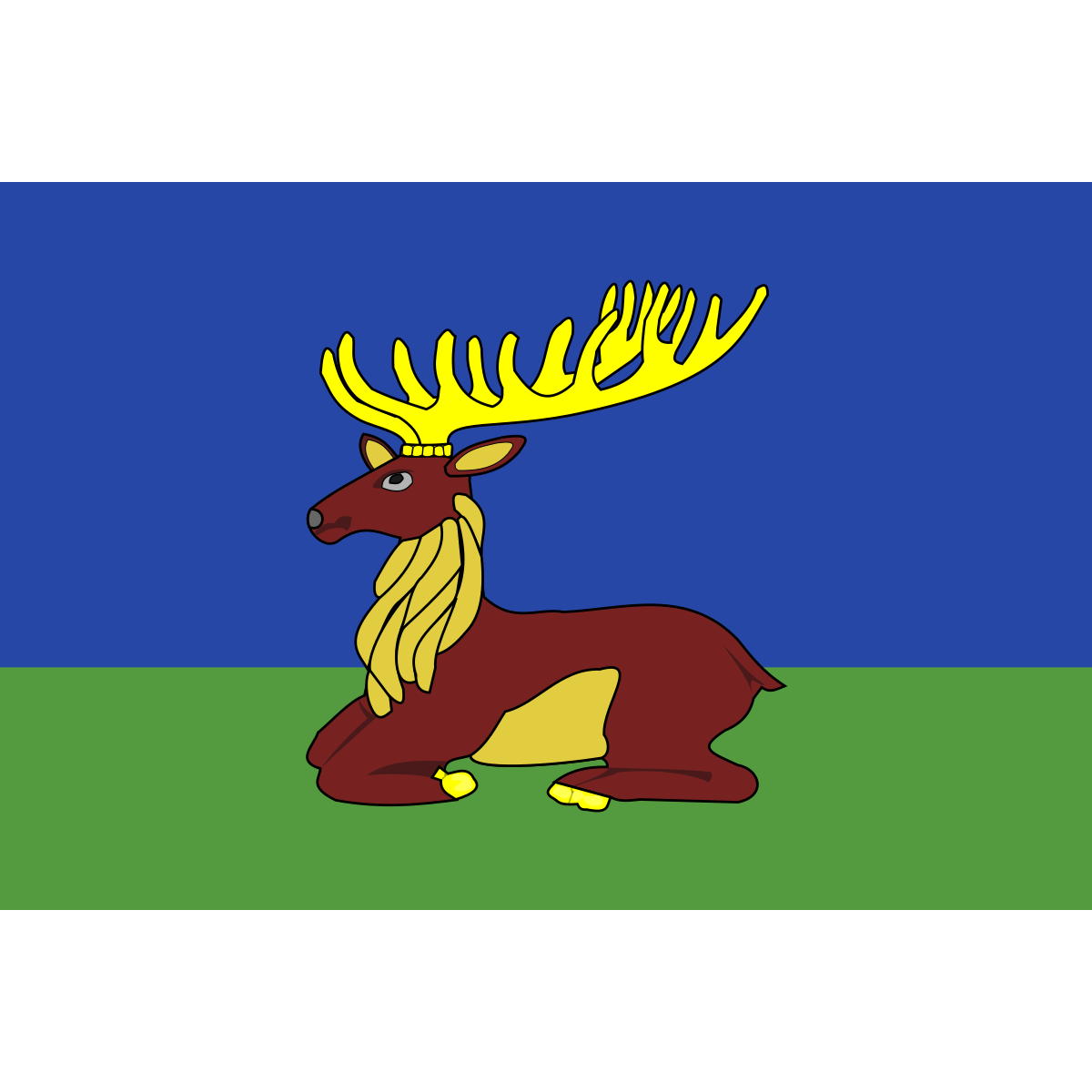 Flag of Popovice, Vysočina Region