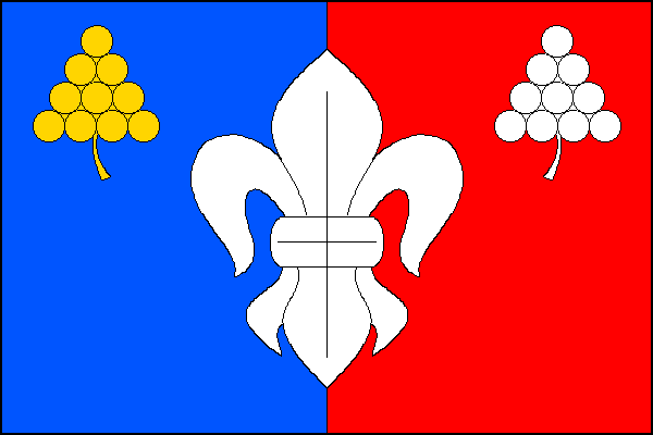 Flag of Prakšice, Zlín Region