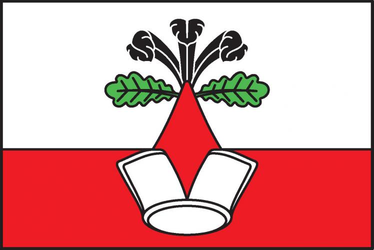 Flag of Přerubenice, Central Bohemian Region