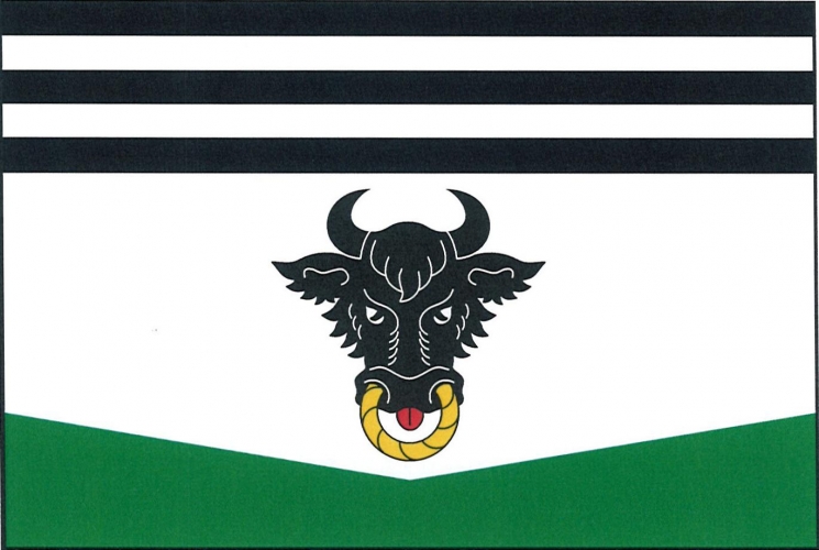 Flag of Prosetín, Vysočina Region