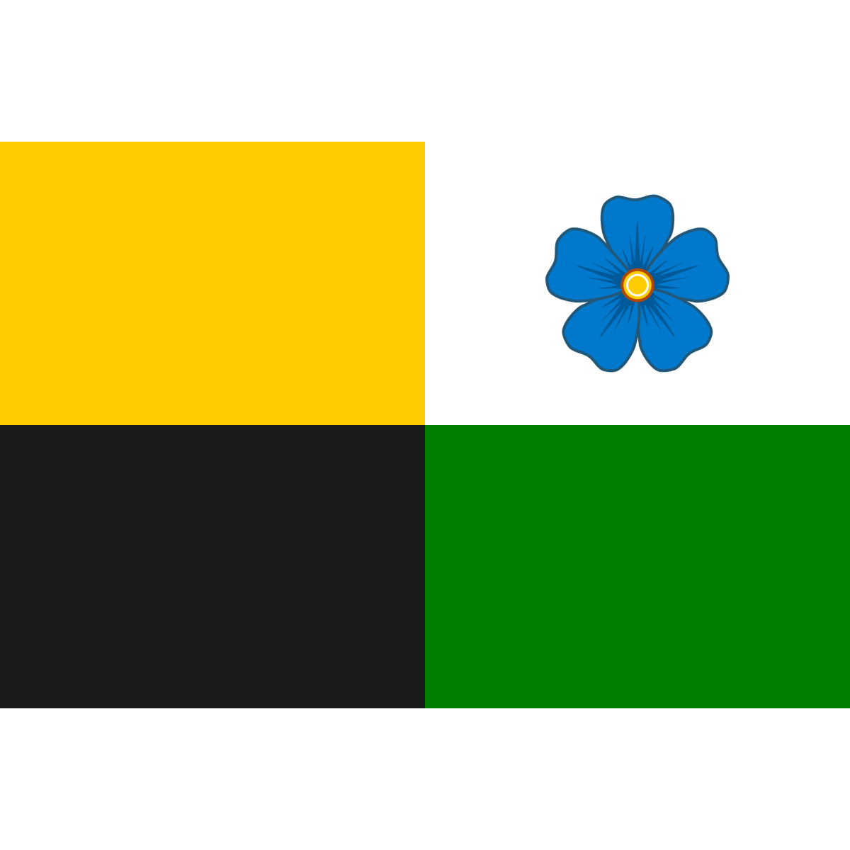 Flag of Putimov, Vysočina Region