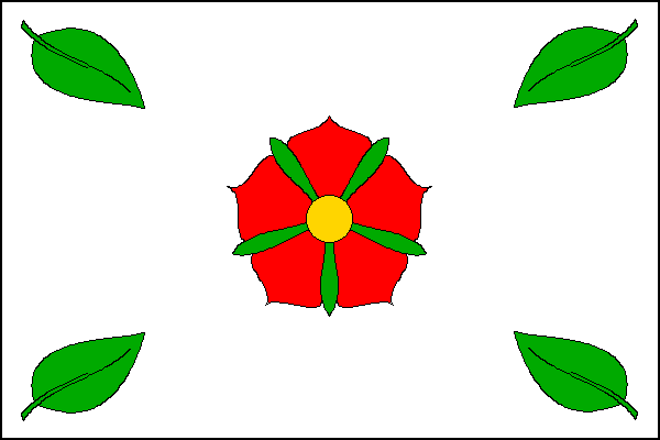 Flag of Radonice, South Bohemian Region