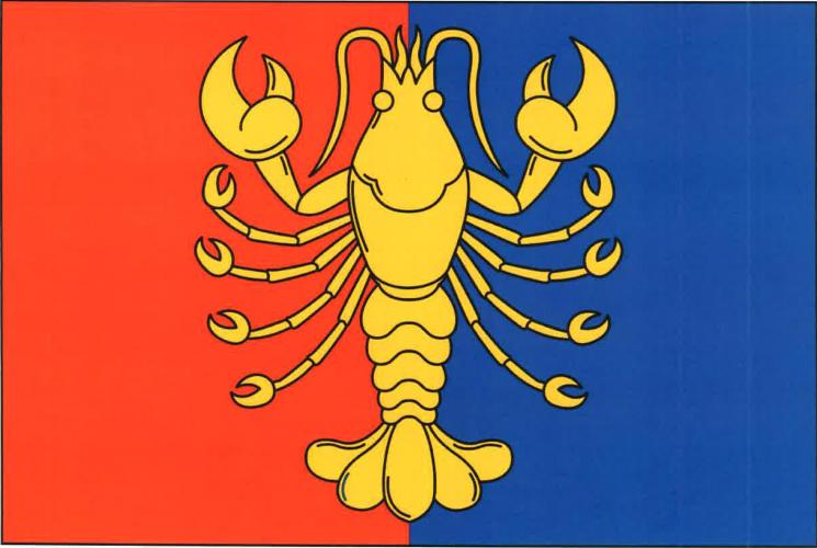 Flag of Raková, Plzeň Region