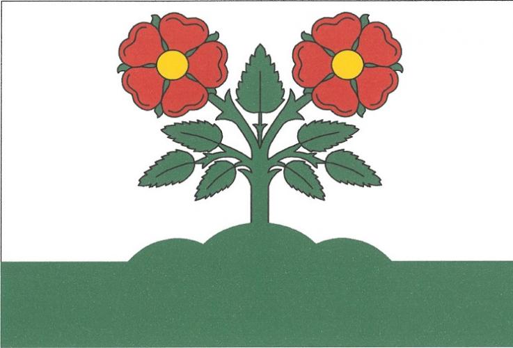 Flag of Řepeč, South Bohemian Region