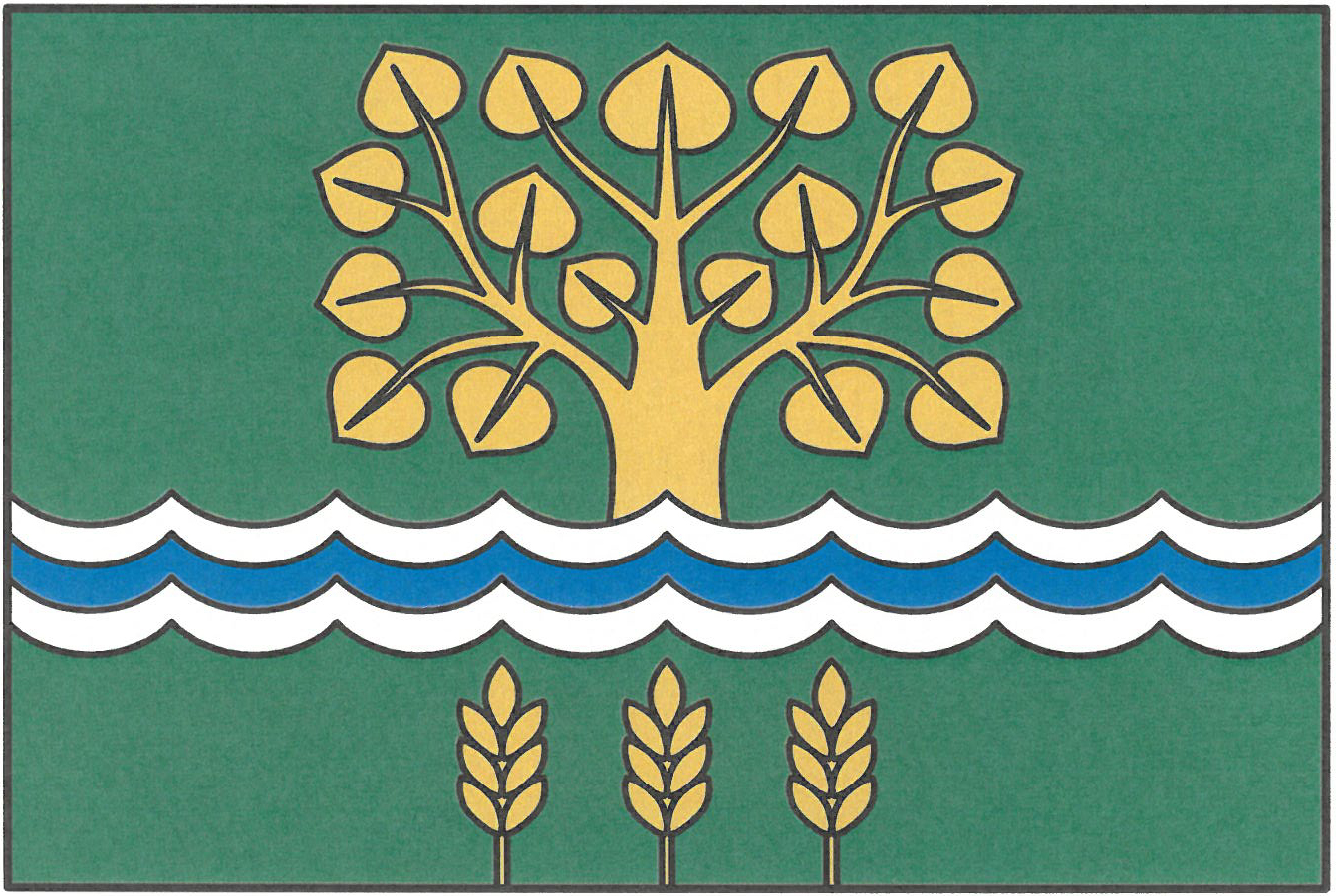 Flag of Rybníček, Vysočina Region