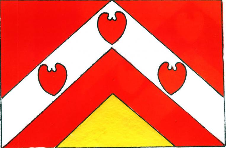 Flag of Slavíkovice, Vysočina Region