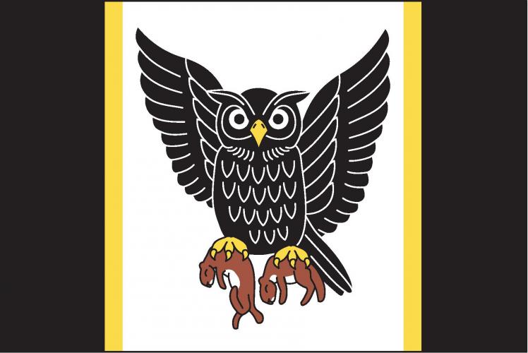 Flag of Sovínky, Central Bohemian Region