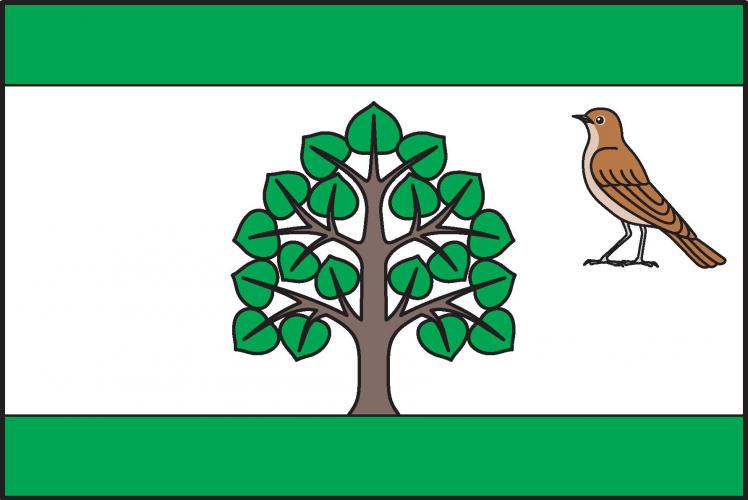 Flag of Strenice, Central Bohemian Region
