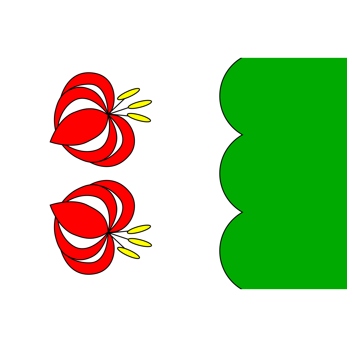 Flag of Svor, Liberec Region