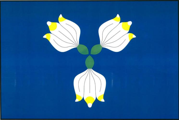 Flag of Tasovice, South Moravian Region
