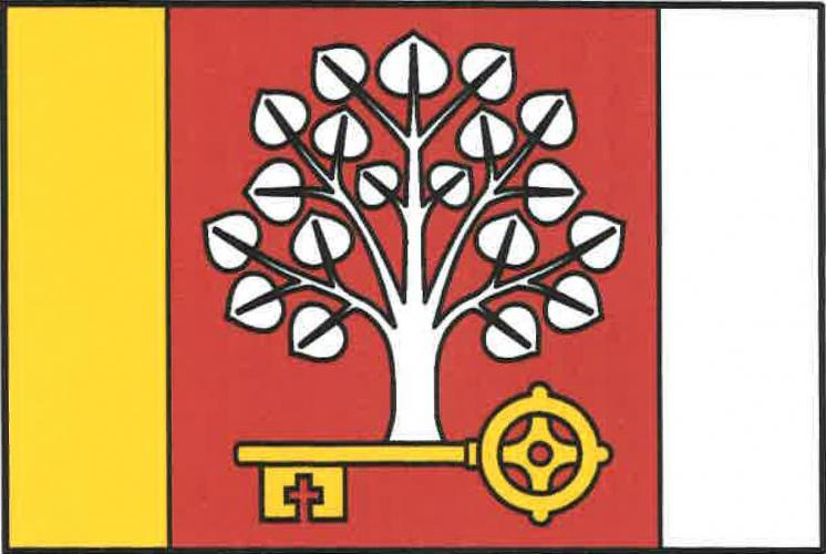 Flag of Tatce, Central Bohemian Region