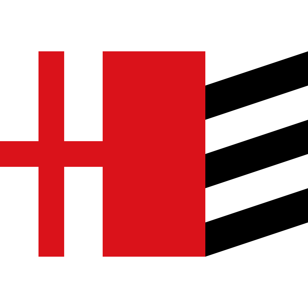 Flag of Těchanov, Moravian-Silesian Region