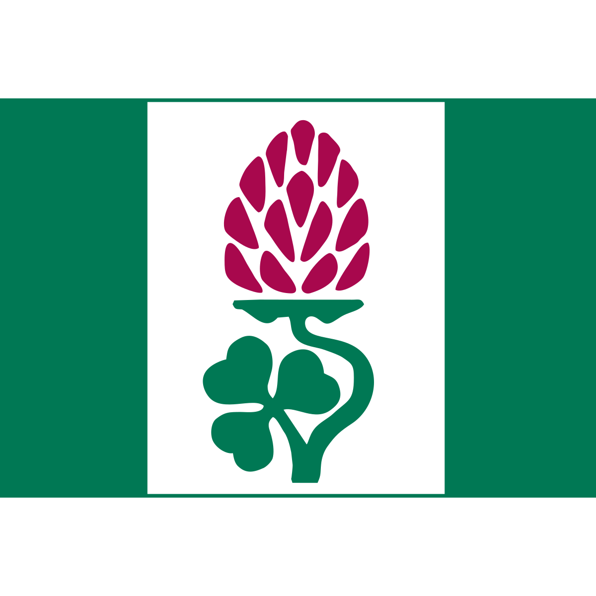 Flag of Vašírov, Central Bohemian Region