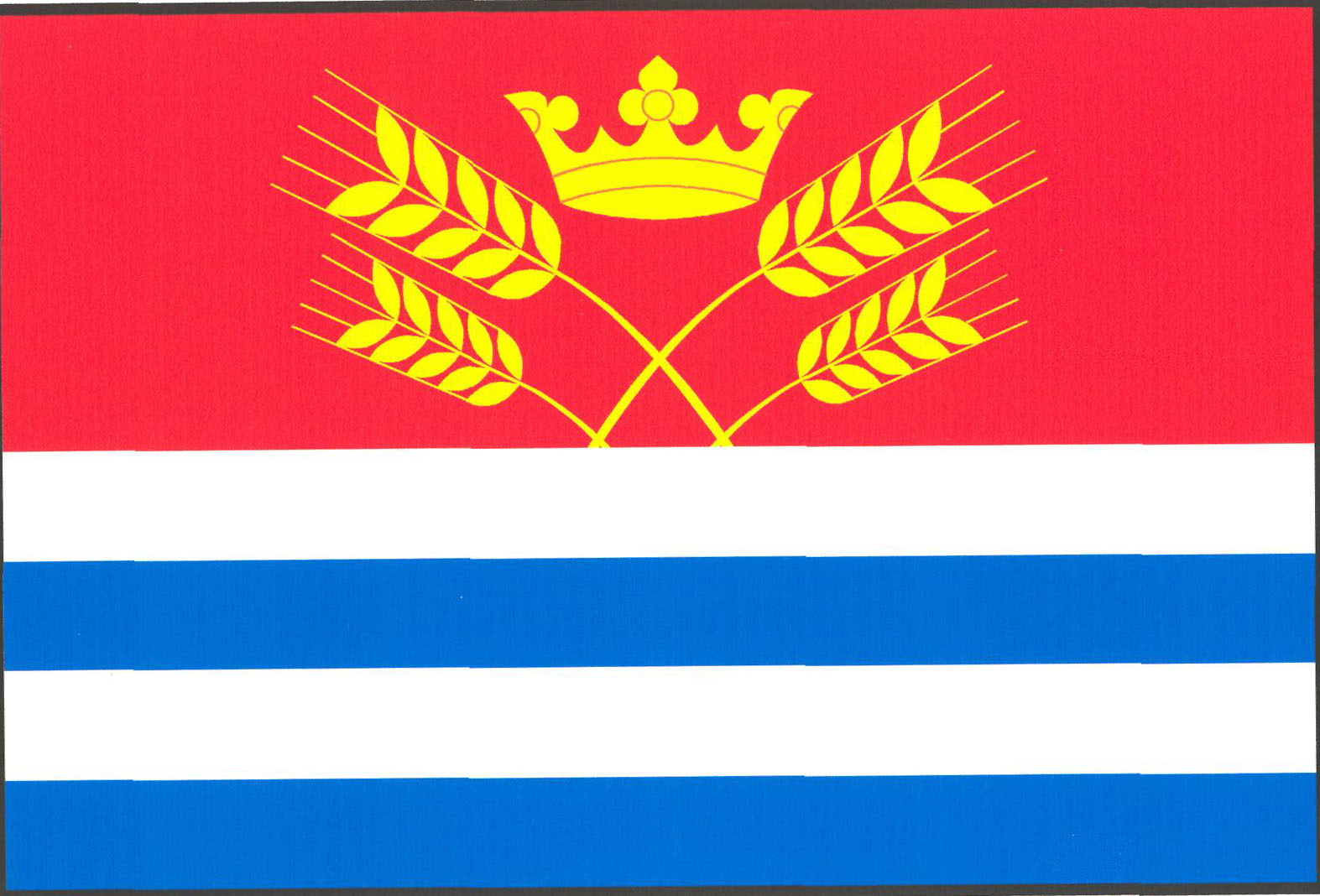 Flag of Vejvanovice, Pardubice Region