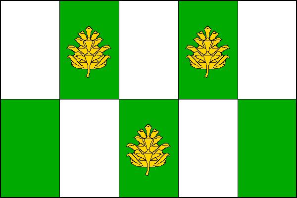 Flag of Veliny, Pardubice Region