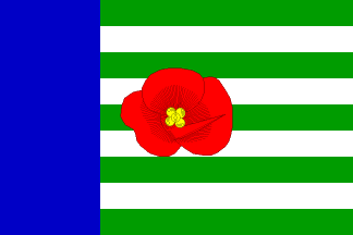 Flag of Veselí, Pardubice Region