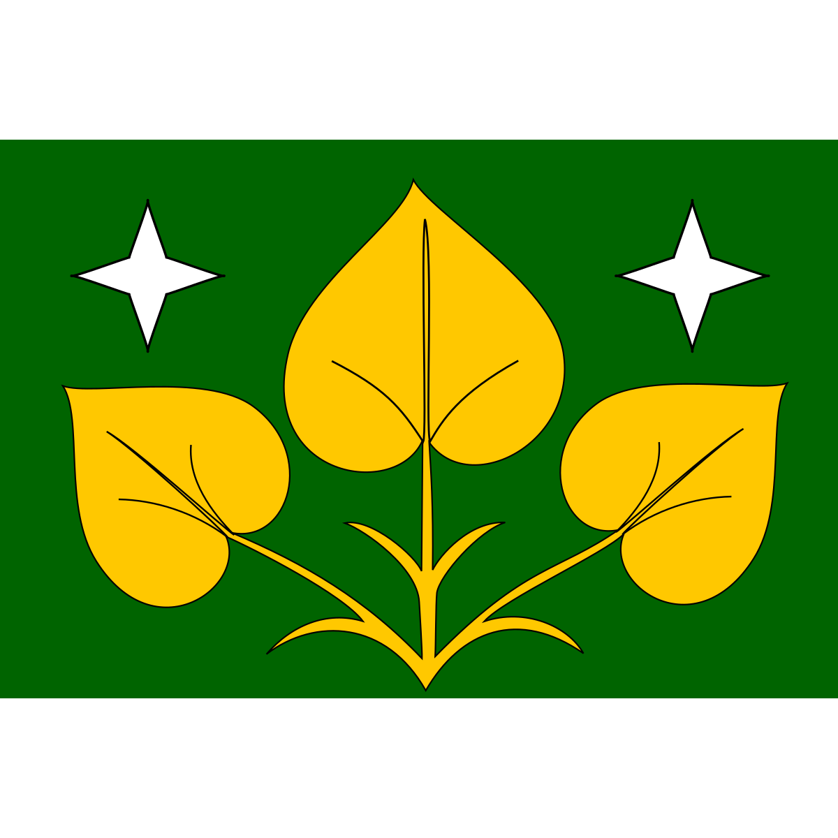 Flag of Výprachtice, Pardubice Region