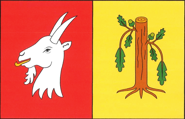 Flag of Vyšehořovice, Central Bohemian Region