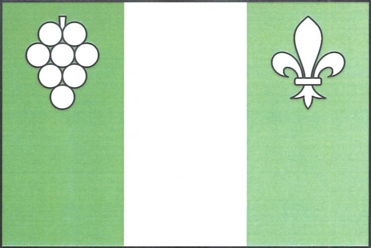 Flag of Zblovice, South Moravian Region
