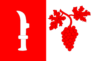 Flag of Želešice, South Moravian Region