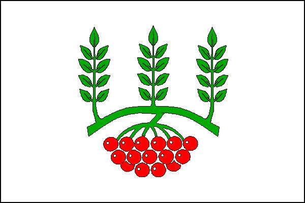 Flag of Žeraviny, South Moravian Region